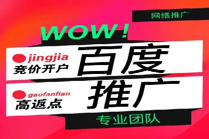 百度SEM竞价策略解析：成功案例分享